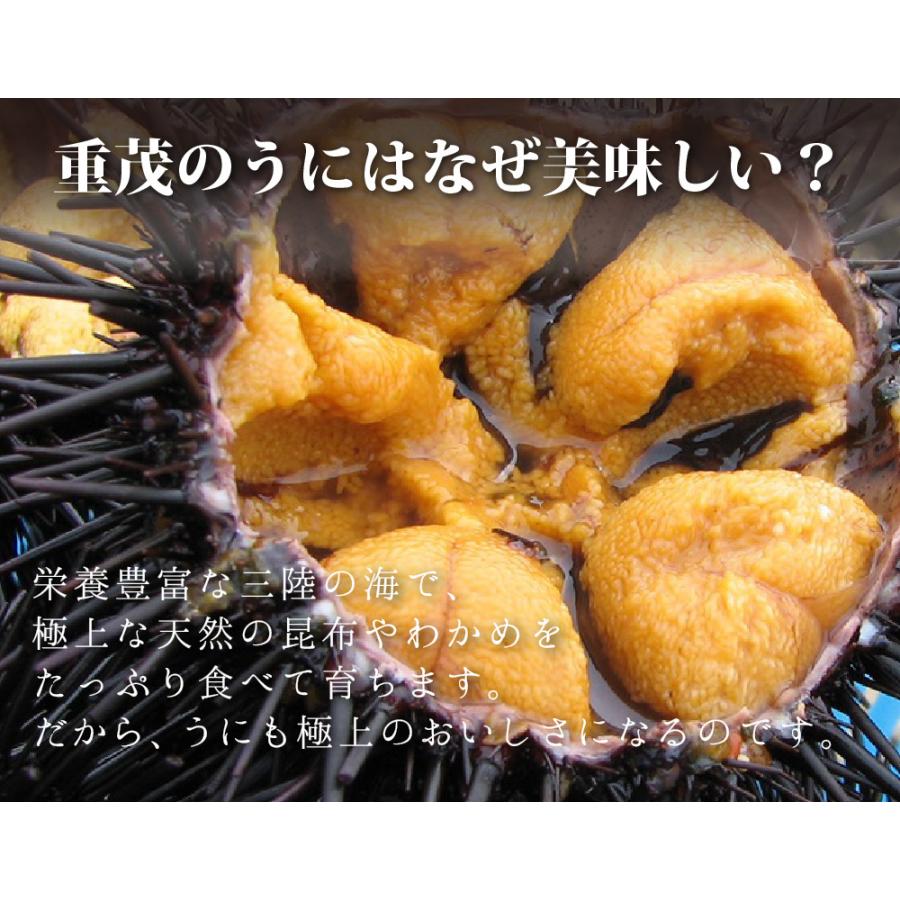 焼きウニ 岩手 重茂産 冷凍 1個 80g 小が理商店 雲丹 うに 雲丹 海鮮 2023 プレゼント お歳暮 ギフト お取り寄せ グルメ 国産 贈り物