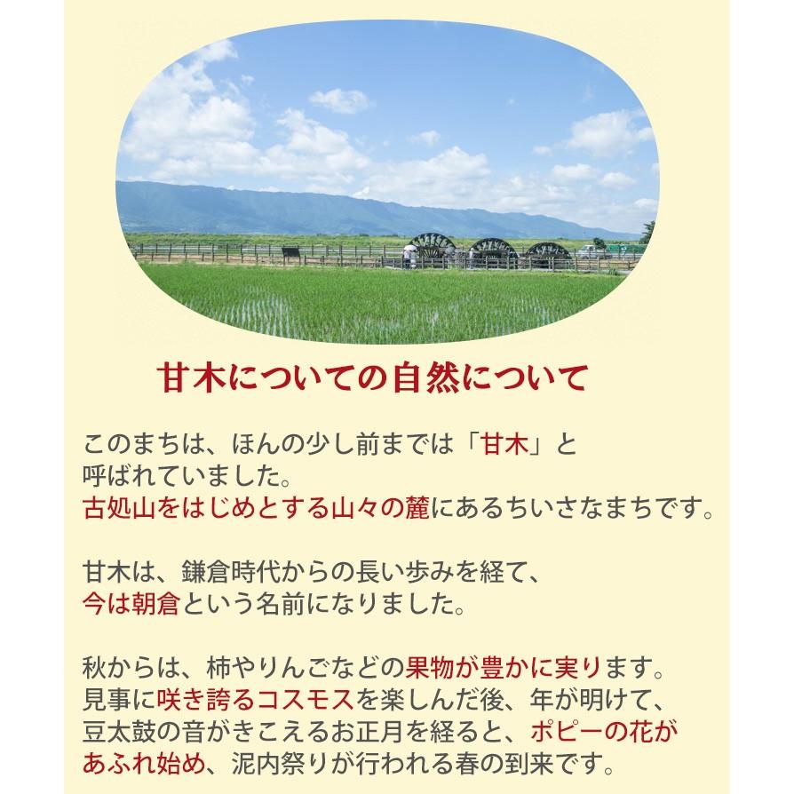 古処鶏　鍋 セット（小）（3〜4人前目安）ご家庭用 こしょどり 天野商店