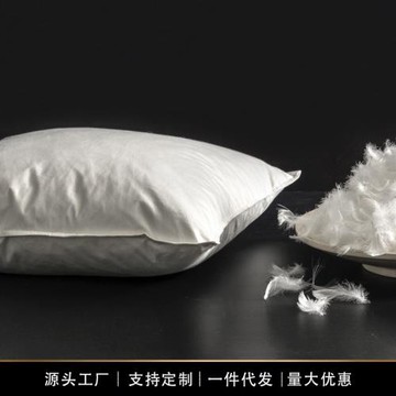 跨境出口鵝毛羽絨抱枕芯內膽方形絨片靠枕芯酒店沙發腰靠背靠墊芯