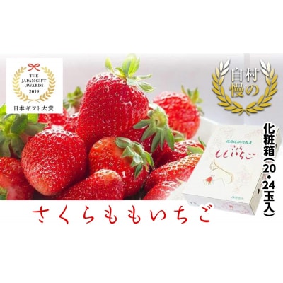 さくらももいちご　20玉または24玉入り化粧箱　※配達地域限定　※1月上旬頃から発送