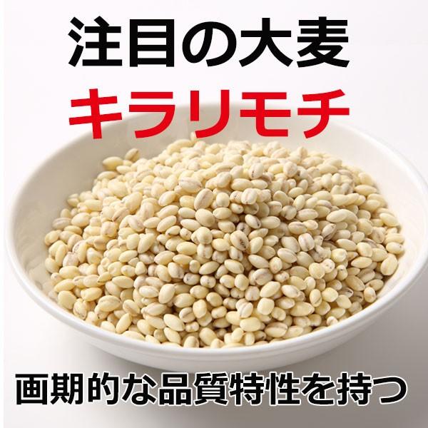 岡山県美作市産キラリモチ もち麦くん 300g