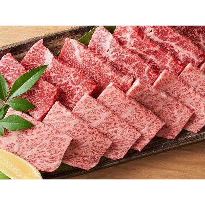 ふるさと納税 添田町 博多和牛焼肉セット 500g(添田町)