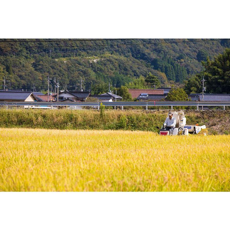 精米 鳥取県産 白米 コシヒカリ 5kg 令和4年産