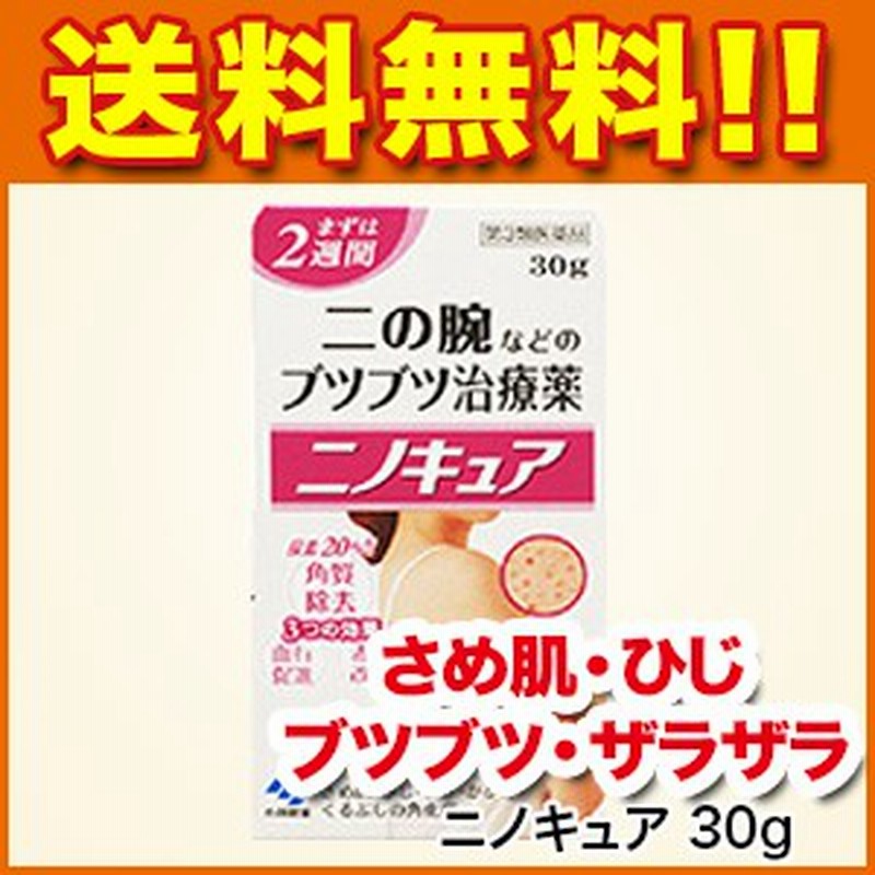 ざらざら肌 ニノキュア 30g 第3類医薬品 さめ肌 ひじ ひざ かかと くるぶしの角化症 手指のあれ 老人の乾皮症 小林製薬 海外 通販 Lineポイント最大1 0 Get Lineショッピング