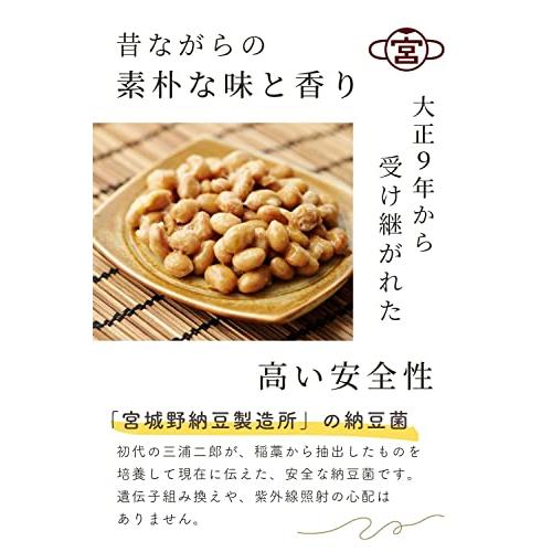 宮城野納豆製造所 納豆菌 納豆 手作り用 液体タイプ 100ml 乾燥大豆50kg用（納豆100kg分）