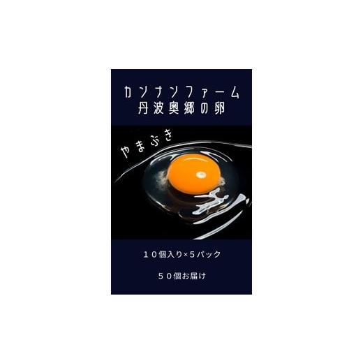 ふるさと納税 兵庫県 丹波市 丹波奥郷の卵　やまぶき　４５個 ５個破卵補償　(約3kg）