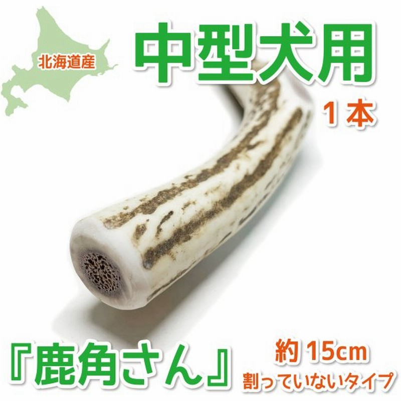 中型犬用 蝦夷鹿の角 『鹿角さん』 割っていないタイプ 1本 天然 無添加 北海道産 鹿の角 犬のおもちゃ 犬 かむおもちゃ エゾ鹿 エゾシカ ツノ デンタル 鹿角 通販 LINEポイント最大0.5%GET | LINEショッピング 中型犬用 蝦夷鹿の角 『鹿角さん』 割っていないタイプ 1本 天然 無添加 北海道産 鹿の角 犬のおもちゃ 犬 かむおもちゃ エゾ鹿 エゾシカ ツノ デンタル 鹿角 通販 LINEポイント最大0.5%GET | LINEショッピング