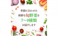 野菜セット（7‐9種類）栽培期間中農薬不使用！ 季節の野菜 旬 無農薬 野菜 やさい 新鮮 自然 健康 セット 詰め合わせ 冷蔵 美味しい おいしい 食べ物 食材 秋 旬の味覚 ご当地 お取り寄せ 芸西村 5000円 故郷納税 ふるさとのうぜい 返礼品 高知県産 高知