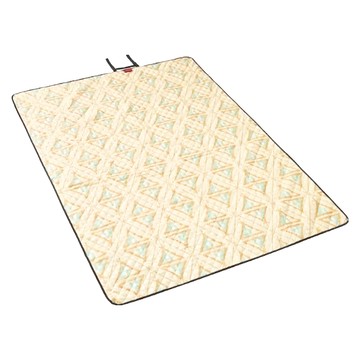 Coleman 野餐墊 防水防髒污 可水洗 200x145cm  OS  印地安