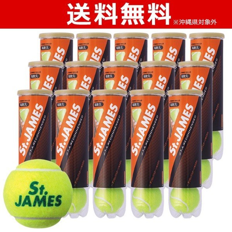 dunlop 365日出荷 2箱セット St.JAMES セントジェームス 30缶 120球 テニスボール 即日出荷 通販 LINEポイント最大GET  | LINEショッピング