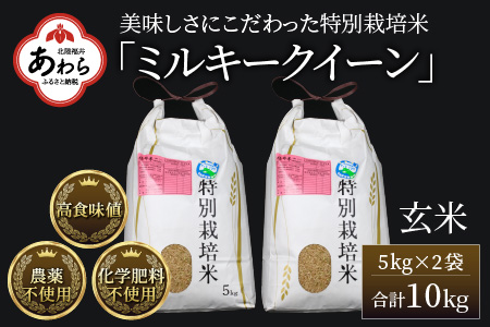 特別栽培米 ミルキークイーン 玄米 5kg×2袋（計10kg） 農薬不使用 化学肥料不使用 ／ 高品質 鮮度抜群 福井県産 ブランド米 あわら産 ブランド米