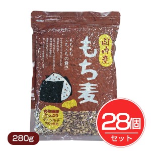 国内産 もち麦 280g×28個セット ベストアメニティ [国産 国産もち麦]