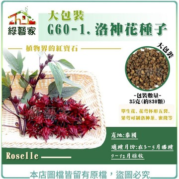 【綠藝家】大包裝G60-1.洛神花種子35克、100克  適應性強 耐熱 果萼可制洛神花茶 蜜餞等 洛神果