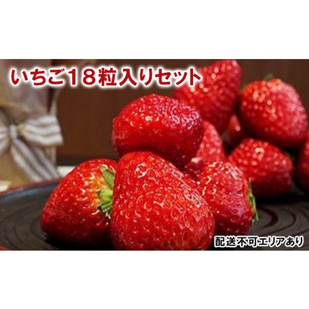 ふるさと納税 いちご18粒入りセット 兵庫県小野市