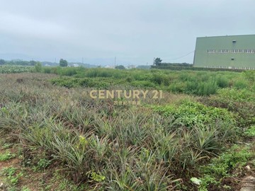 名間土地-名間名山路760坪美農地｜南投縣名間鄉東新厝段