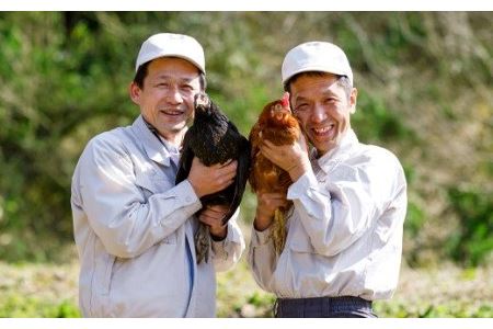 平飼い八雲鶏卵　彩り天佑卵 10個×3パック 定期便卵30個 月 卵合計180個 卵6回定期便 おいしい卵の定期便