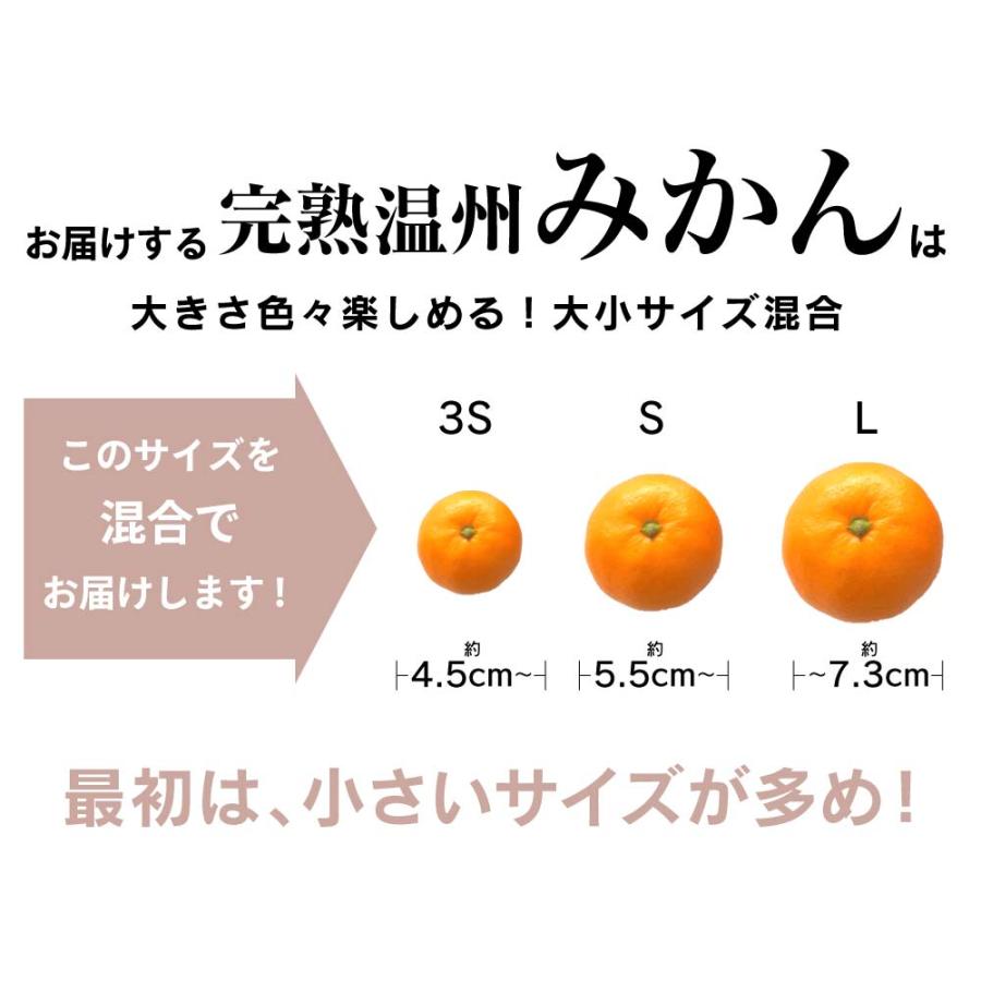 みかん 温州みかん 5kg 送料無料 ＜12月上旬より出荷予定＞ サイズ混合 小玉あり 柑橘 訳あり 小粒 甘い 蜜柑 産地直送 農家直送