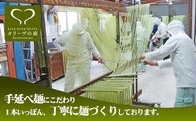 オリーヴの森　手延べ半生オリーヴうどん　小豆島産オリーヴオイル仕立て　6ケパック