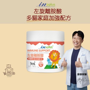 【動物醫院直送】免運隔日配 IN-Plus 左旋離胺酸 多貓家庭加強配方 114g 眼睛 貓 抵抗力 紓壓 葉黃素