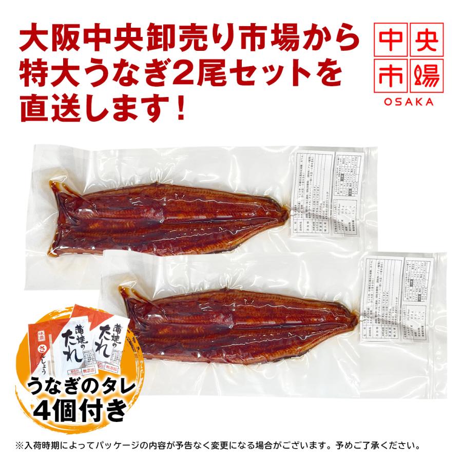 うなぎ 鰻 中国産 特大 約330g × 2尾 ひつまぶし おにぎり 鰻重 うな丼 蒲焼き 真空パック ギフト お取り寄せ 冷凍 内祝い プレゼント