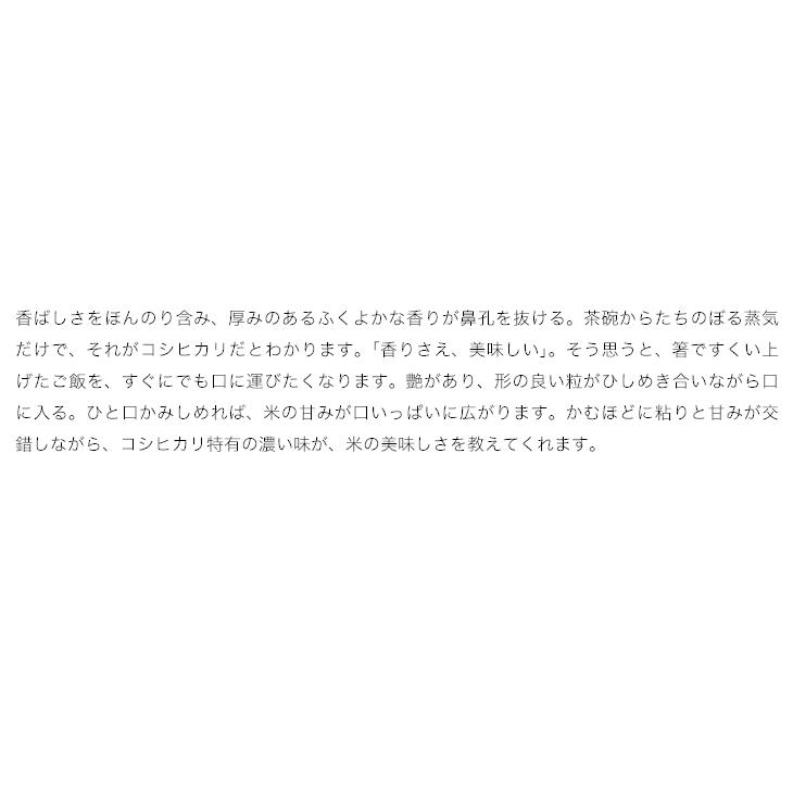 お米 10kg 米 こしひかり 新米 令和5年 5kg×2袋 埼玉県産 送料別