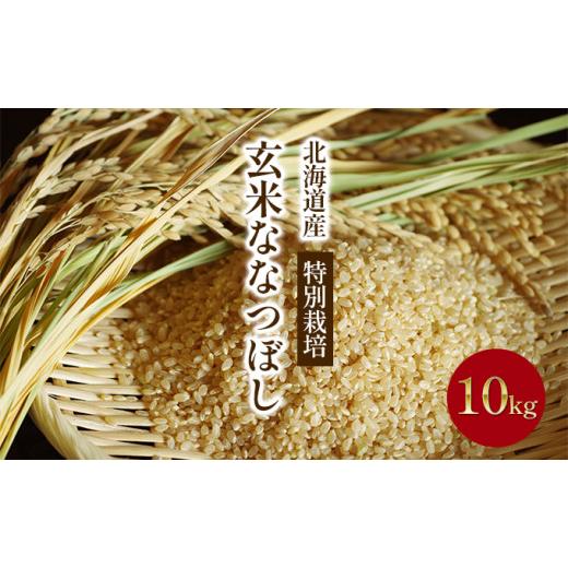 ふるさと納税 北海道 滝川市 北海道産特別栽培玄米ななつぼし 10kg｜北海道 滝川市 米 お米 ご飯 玄米 特別栽培 特別栽培米 なな…