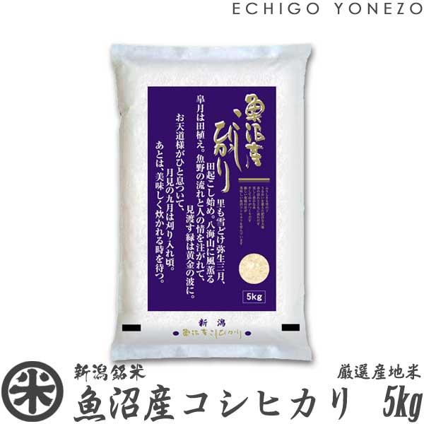 [新米 令和5年産] 魚沼産コシヒカリ  5kg (5kg×1袋) 新潟米 新潟県産 お米 白米 こしひかり 送料無料 ギフト対応