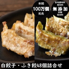 年間100万個完売!餃子の餃天の