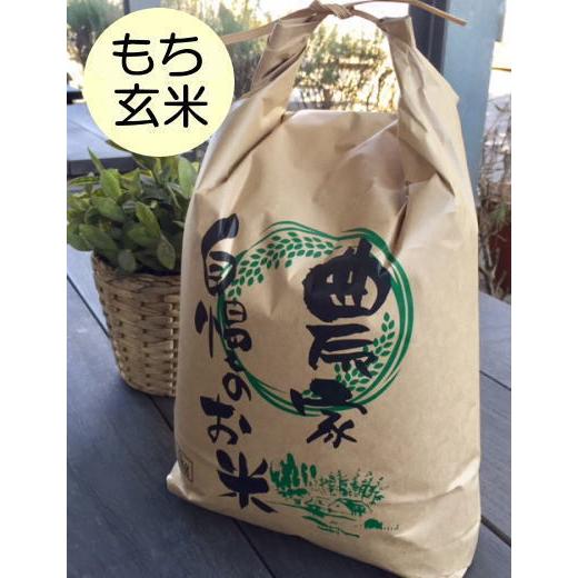 もち玄米5kg 　はぜかけ米(天日干し・自然乾燥)　石川ファーム自然栽培米 無農薬　R5年新米