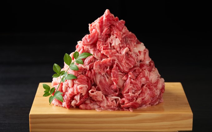 限定 牛肉 博多和牛 A4～A5 切落とし 合計10kg（500g×20p）肩ロース 赤身 バラ カルビ 配送不可：離島