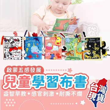 親子桌遊 【檢驗合格】兒童學習布書 (耐撕不爛五款)【BE1361】