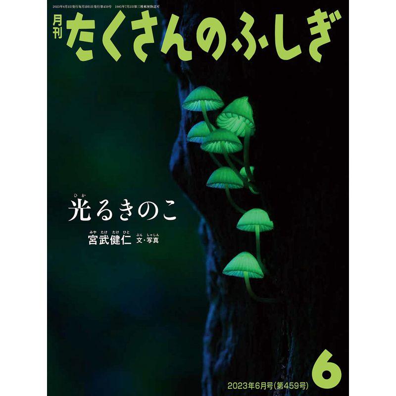 光るきのこ (たくさんのふしぎ2023年6月号)