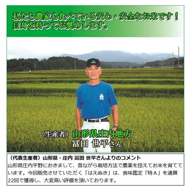 訳あり お米 はえぬき 5kg 山形県庄内産 白米 当日精米 一等米 令和4年産