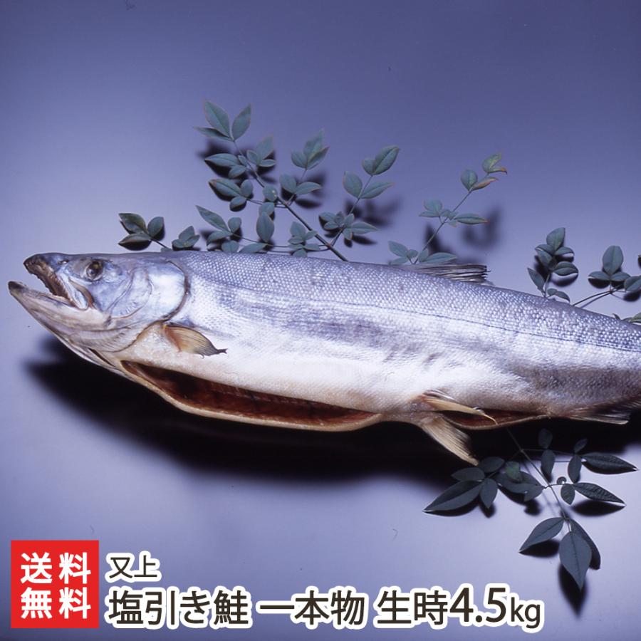 塩引き鮭 一本物 生時4.5kg※漁獲時の鮭の重さを表記しております 又上 送料無料