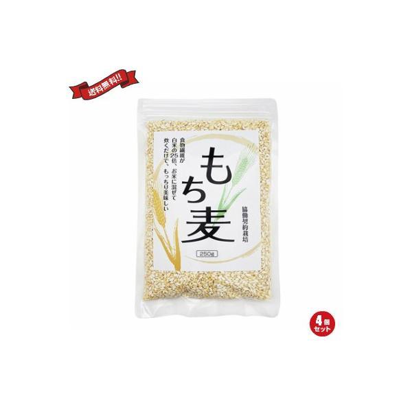 もち麦 国産 もち麦 250g ４個セット 送料無料