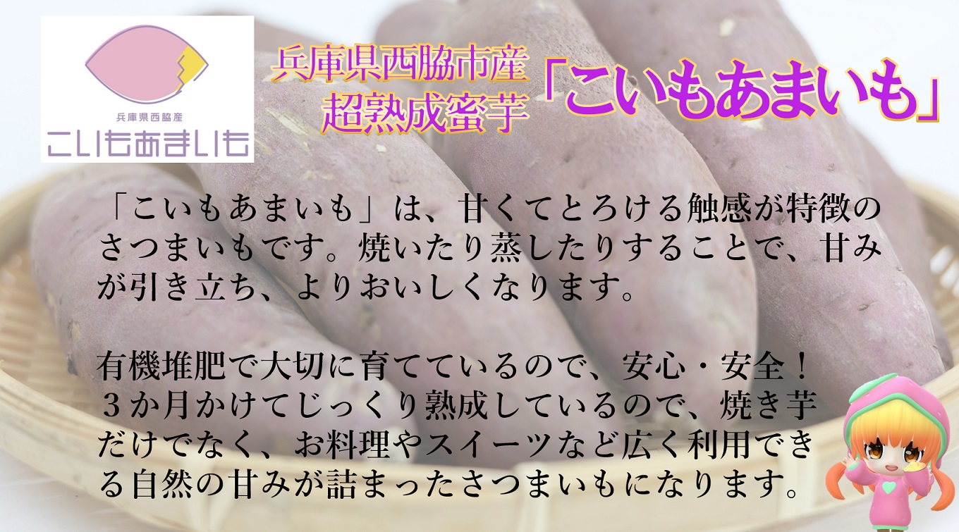 超熟成蜜芋「こいもあまいも」紅はるか Sサイズ 合計5㎏（10-81）　さつまいも