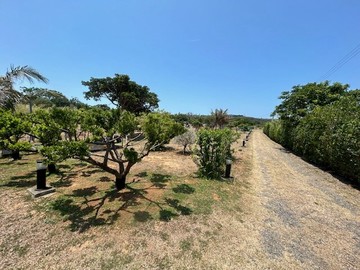 墾丁庭園美景附資材室休閒養生農地｜屏東縣恆春鎮西潭路