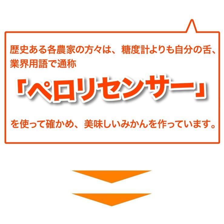 訳あり みかん 10キロ ちょっと訳あり 有田みかん 蜜柑 自宅用 訳アリ 送料無料 ミカン 10kg 箱買い 産地直送 安い 糖度 家庭用 甘い おいしい 和歌山みかん