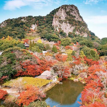 中華九州賞楓九十九島遊船.稻佐山纜車.熊本渡輪.萌熊電車.御船山樂園.高千穗峡.水前寺雙溫泉5日