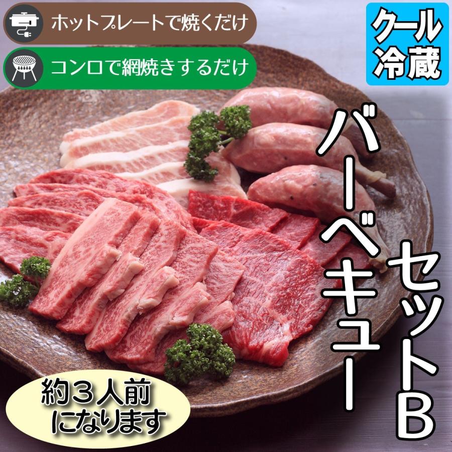 バーベキューセットB 約３人前 焼肉用