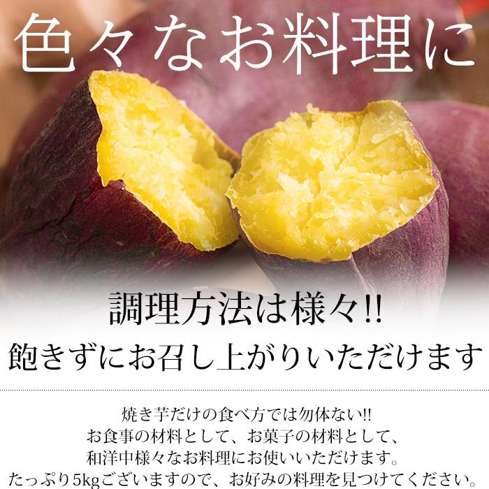 さつまいも 千葉県・茨城県産 訳あり C品 約5kg サイズおまかせ