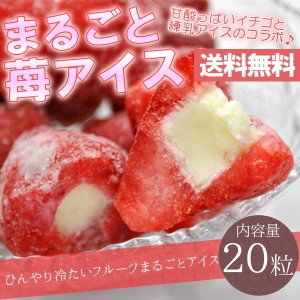 練乳いちごアイス（20粒） まるごと 苺 アイス イチゴ デザート 贈答 ギフト 贈り物(送料無料)