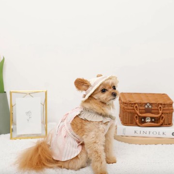 【 MONCHERI 】寵物服飾 | 條紋皺褶荷葉邊洋裝