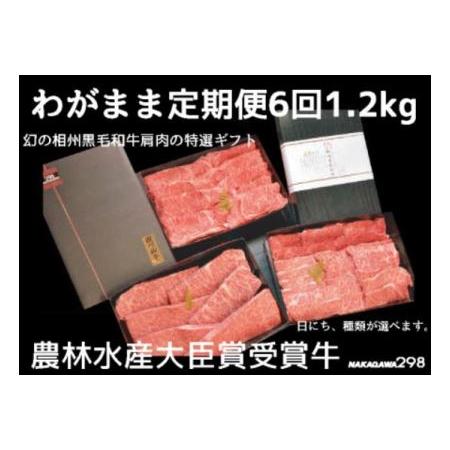 ふるさと納税 わがまま定期便 幻の相州黒毛和牛肩肉 1.2kg 年に6回お届け！ 神奈川県小田原市