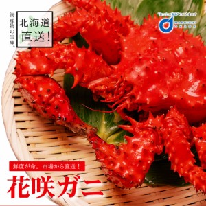 花咲がに 北海道産 送料無料 花咲ガニ 姿 1尾 (620g前後) 花咲蟹 北海道 はなさきがに カニ かに 海鮮ギフト かに鍋 札幌場外市場 グルメ