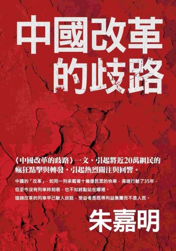 中國改革的歧路[二手書_良好]