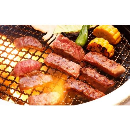 ふるさと納税 神戸牛 焼肉　ラムイチ＆リブロース 500g　 兵庫県神戸市