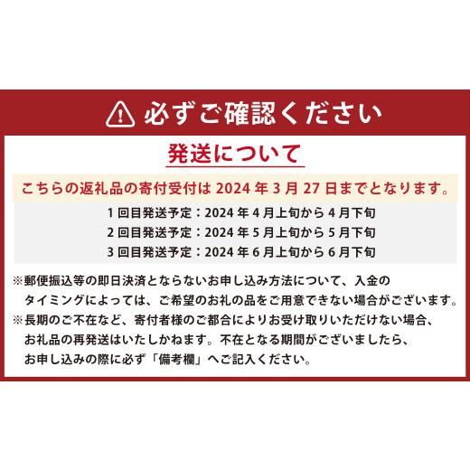 ふるさと納税 熊本県  くまもとの すいか 食べ比べ 定期便 合計5玉 スイカ 果物 くだもの フルーツ