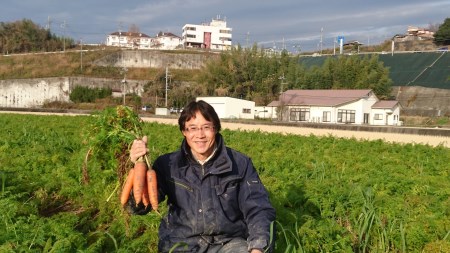 野菜　野菜詰め合わせ　旬のお野菜おまかせセット橋本自然農苑　自然栽培　野菜セット　季節の野菜