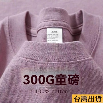 🌈台倉出庫🌈 少見的 色調! 莫蘭迪 霧霾紫! 美式 簡約 300G 重磅 純棉 短袖 T恤 女男 夏